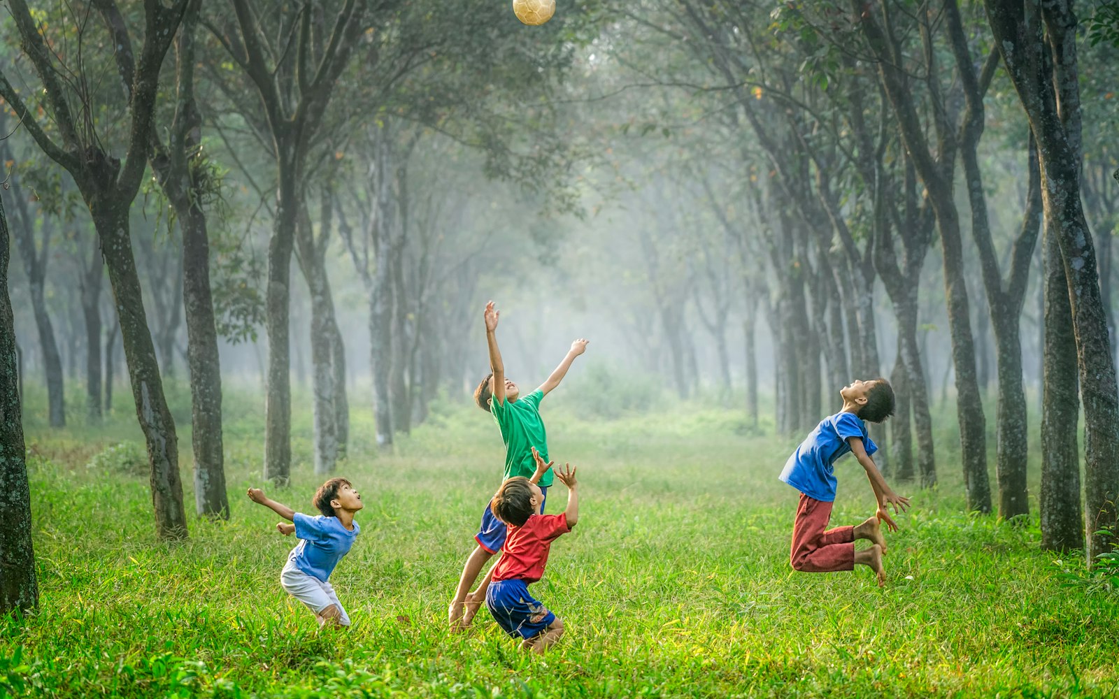 Best Family Holiday Destinations in South Africa