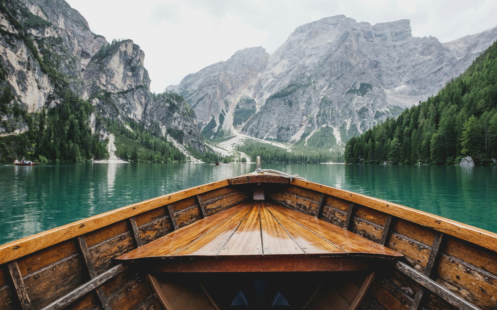 Wilderness